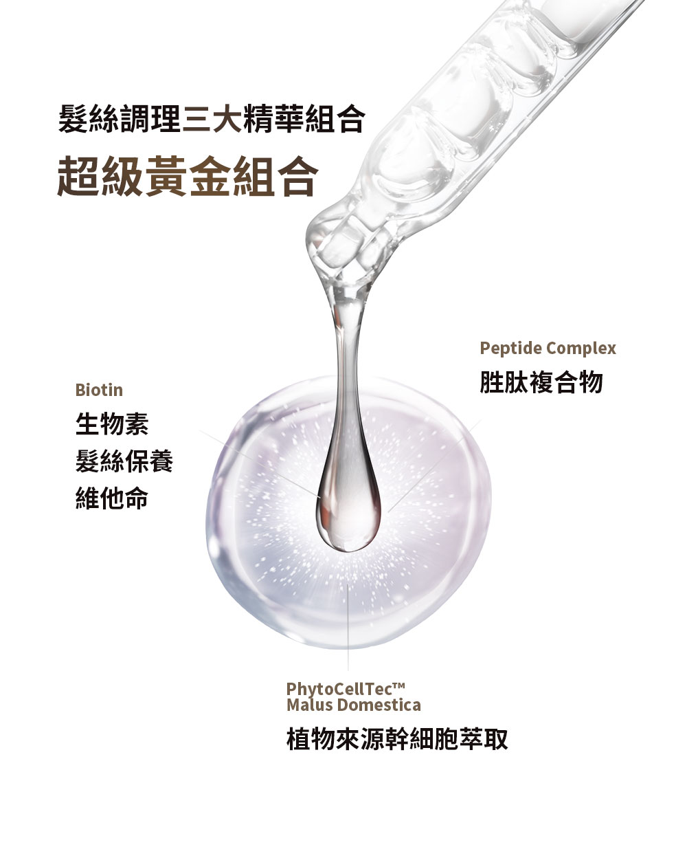 如你所願洗髮精