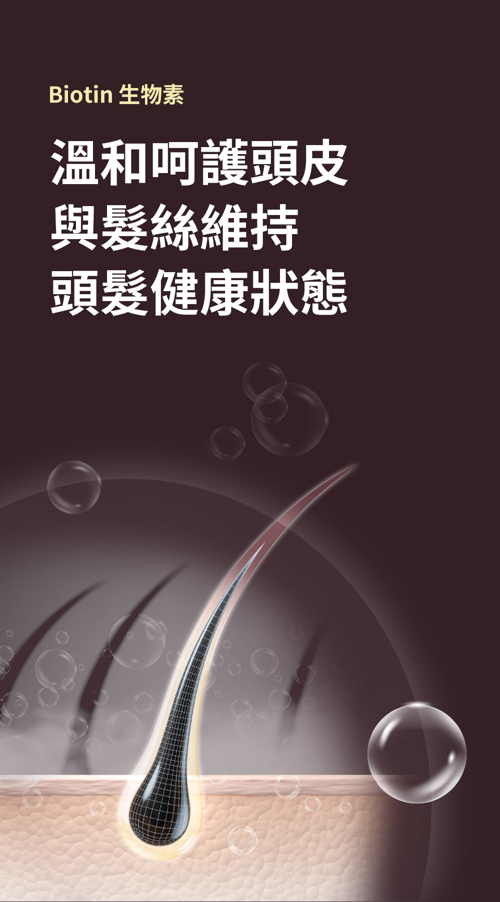 如你所願護髮素