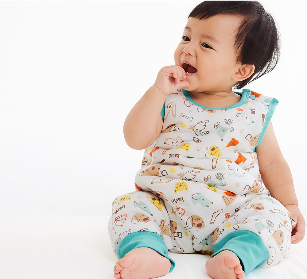 狗狗智慧調溫防踢背心