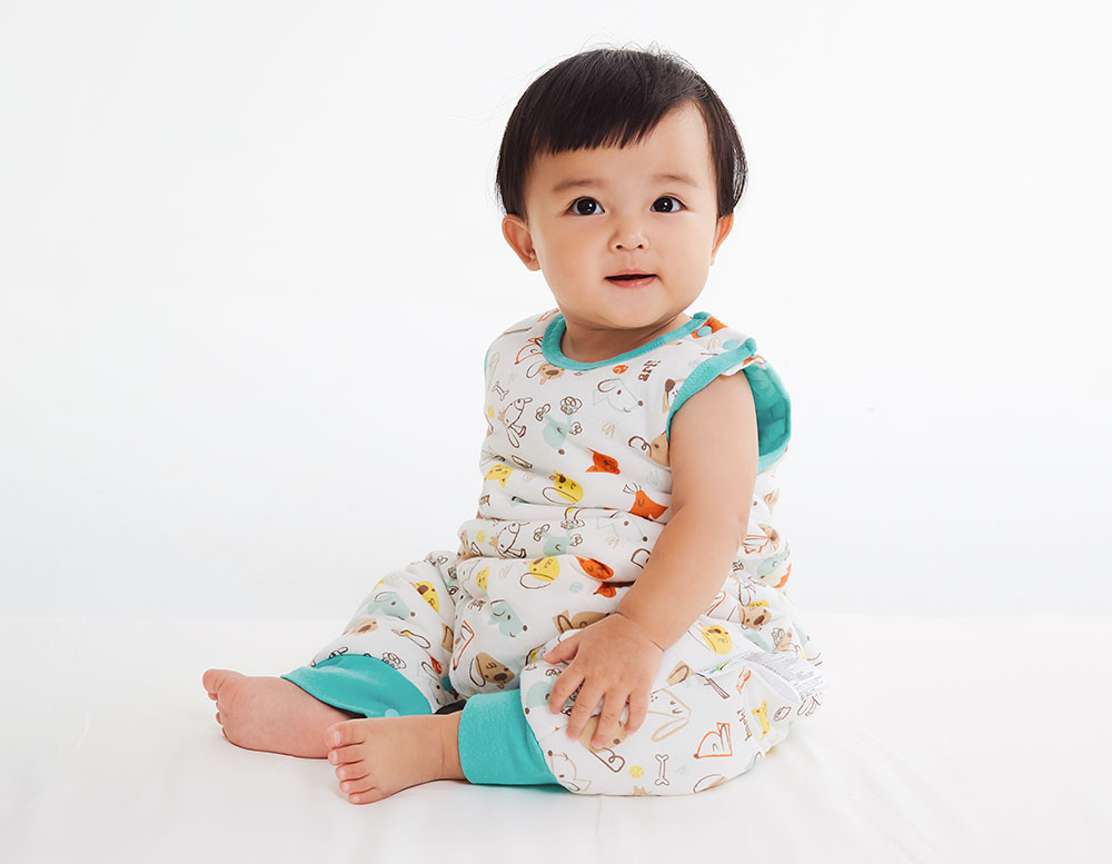 狗狗智慧調溫防踢背心