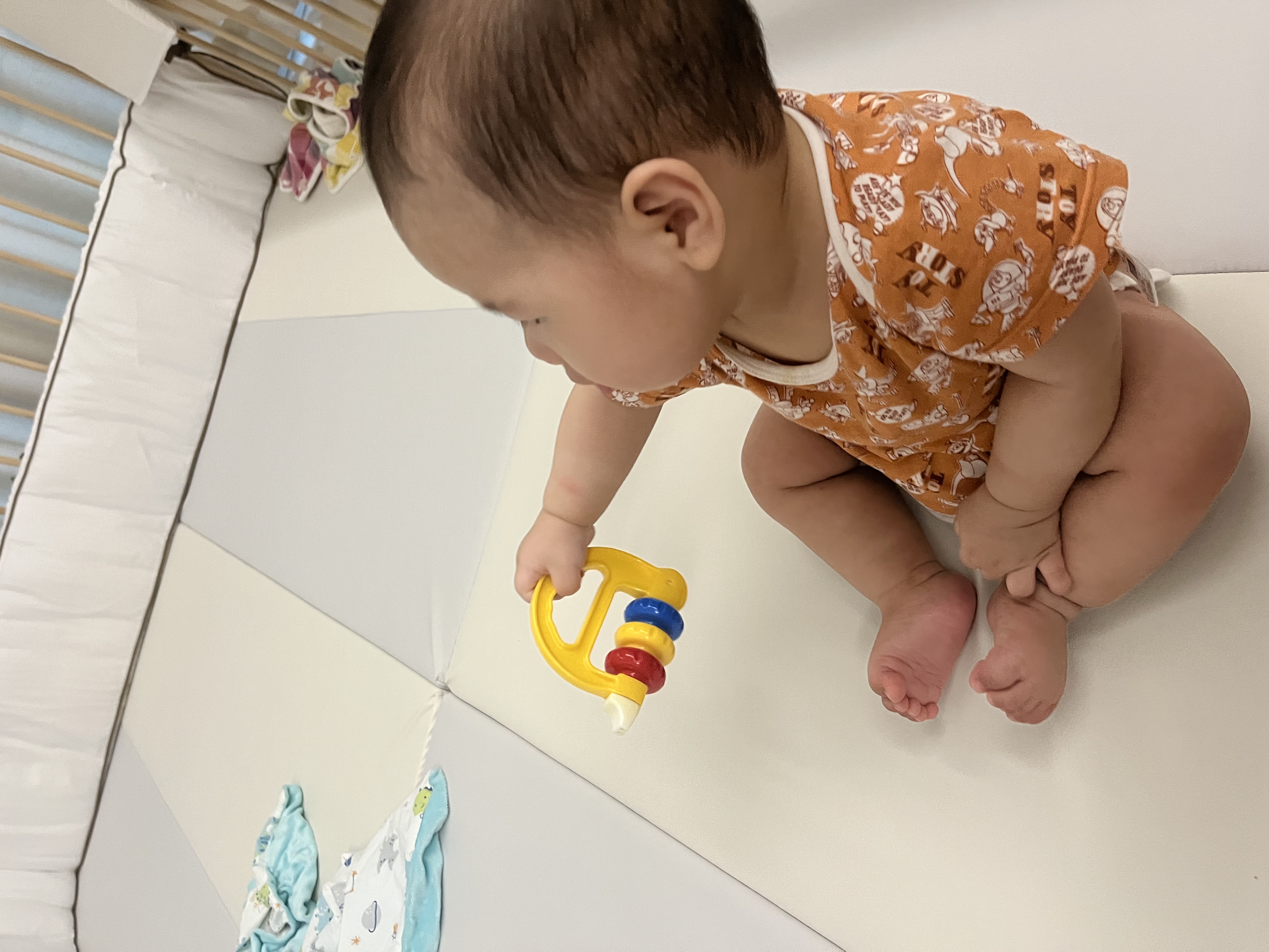 玩具總動員 玩具總動員
