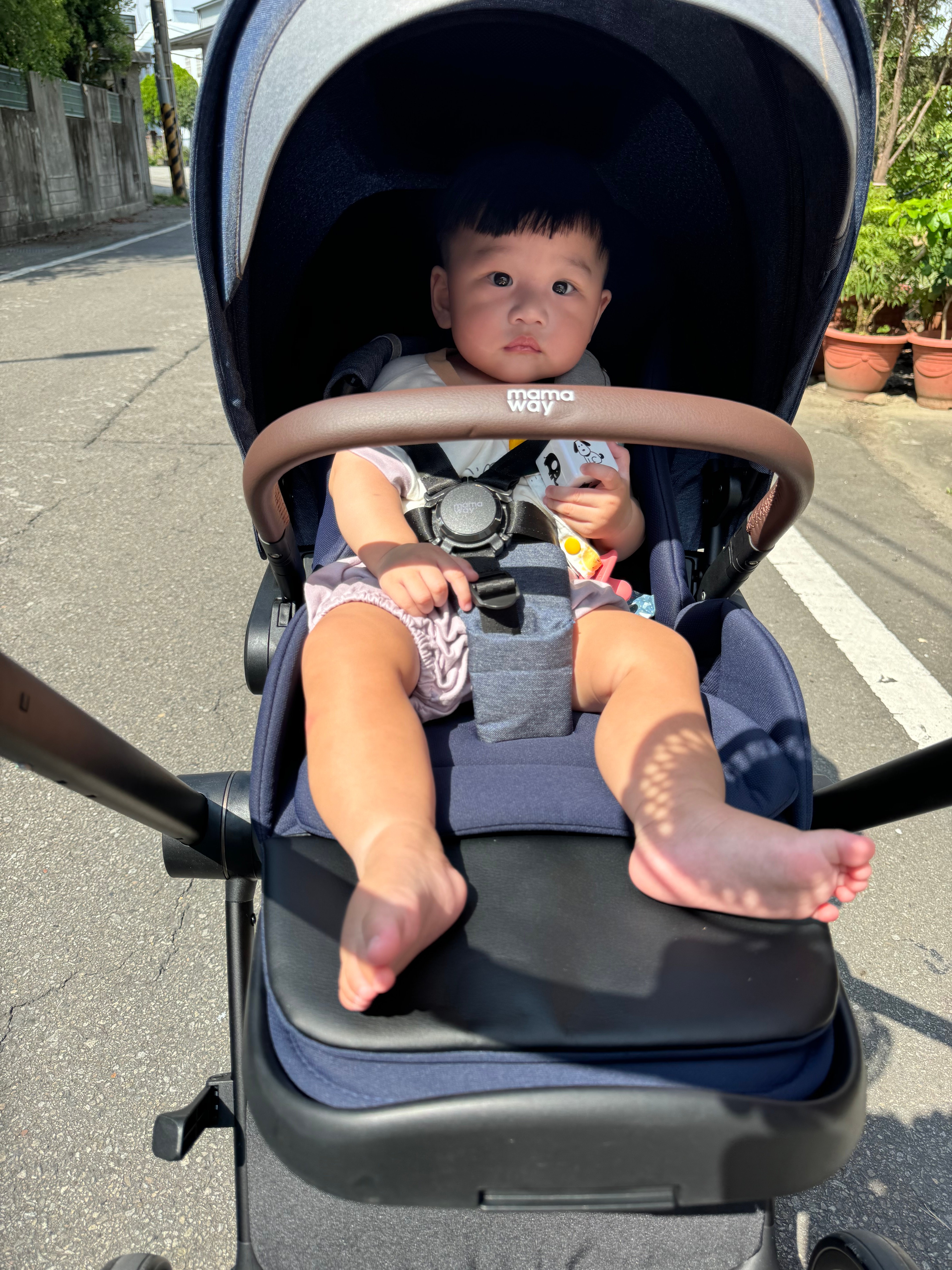 出門散步 出門散步